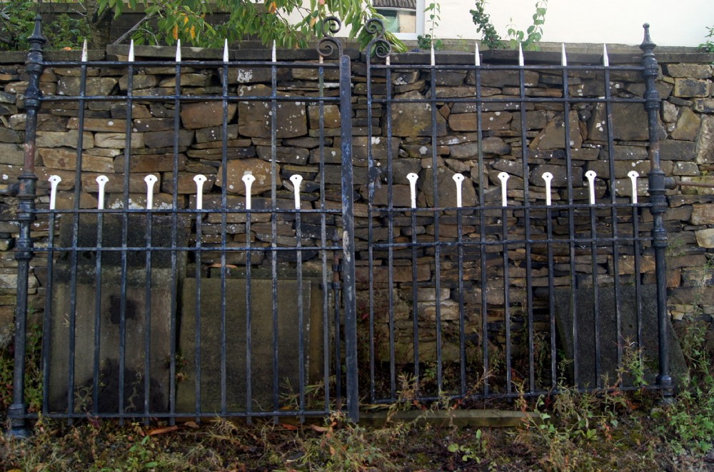 fantastic pair of wrought iron gates