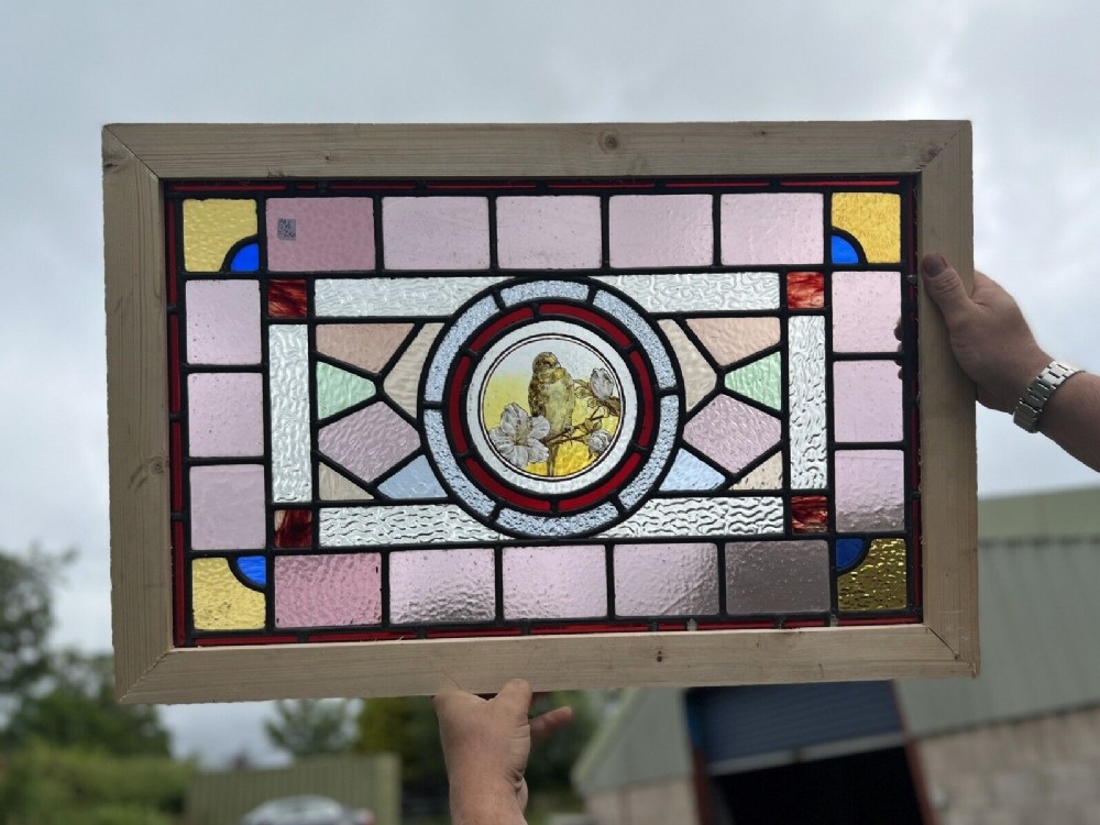 stained glass window painted bird 4